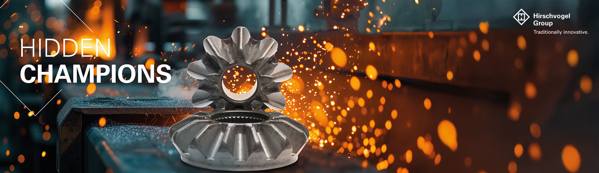 Hirschvogel Holding GmbH