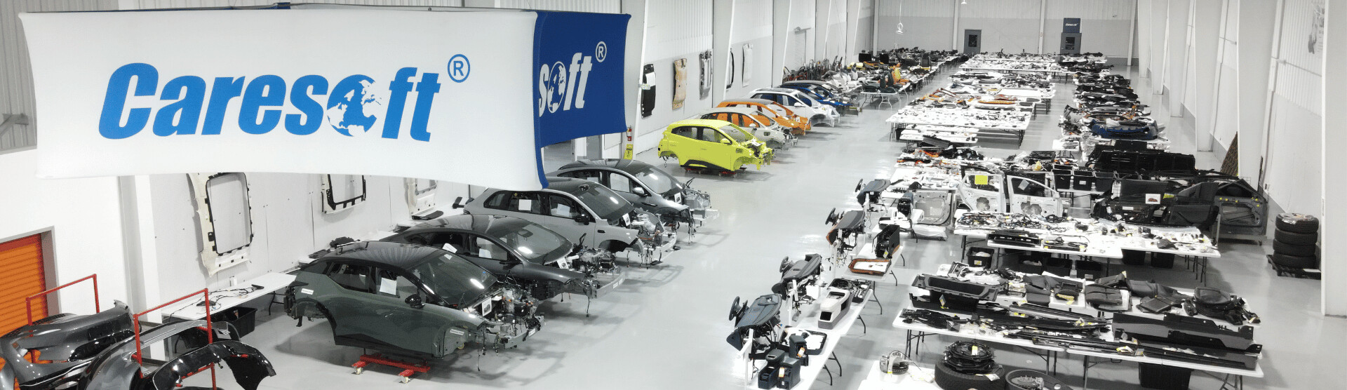 Caresoft Global Caresoft Global