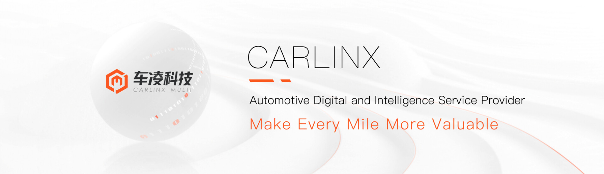 CARLINX CARLINX